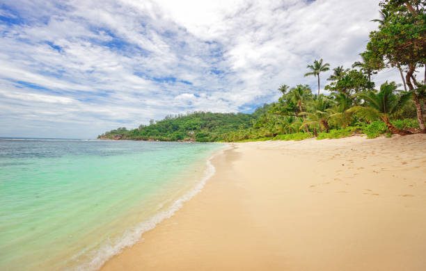 istock Beach Baie Lazare, Seychelles Island 1220116509