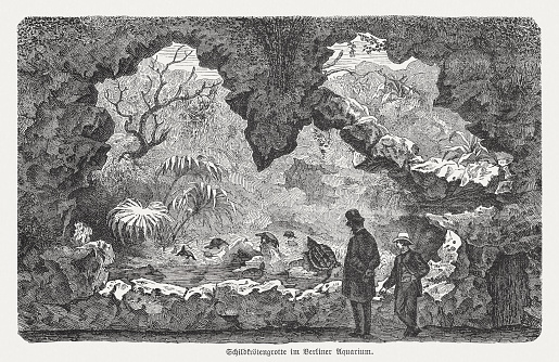 Historical view of a terrarium in the Berlin Zoological Garden - the oldest and best-known zoo in Germany, opened in 1844. The zoo presents one of the most comprehensive collections of species in the worldand is the most-visited zoo in Europe and one of the most popular worldwide. Wood engraving, published in 1893.