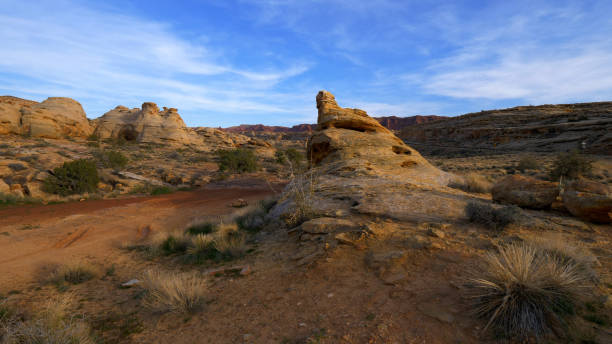 istock Beautiful landscape at Cayonlands National Park 1220118644
