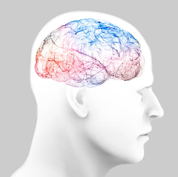 istock View of the synapses. Brain connections. Neurons and synapses. Communication and cerebral stimulus 1220120758