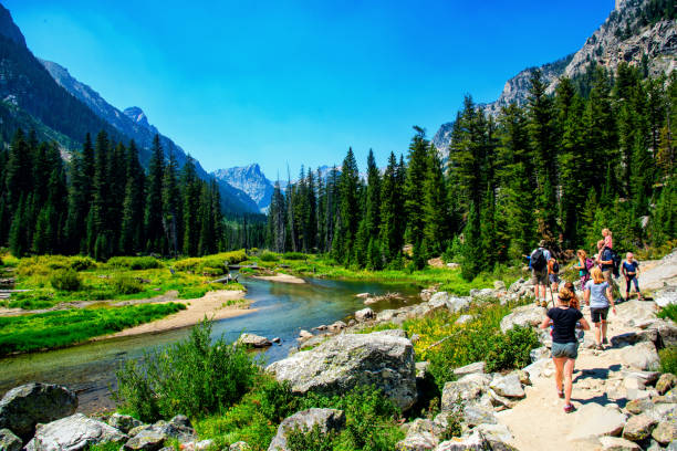 Jackson, United States - August 15, 2018:  A group hiking along a trail near the Moran Creek in Grand Teton National Park, Wyoming, United States.