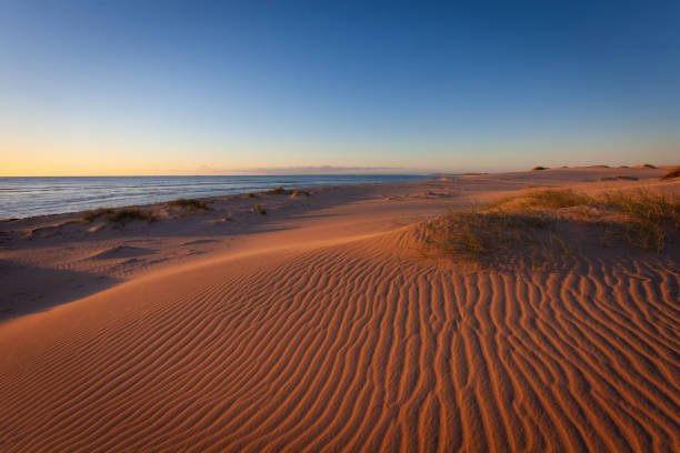 Ningaloo Reef, Western Australia The setting sun emphasises the patterns on the magnificent sand dunes along the coastline of Ningaloo Reef, Western Australia exmouth western australia photos stock pictures, royalty-free photos & images