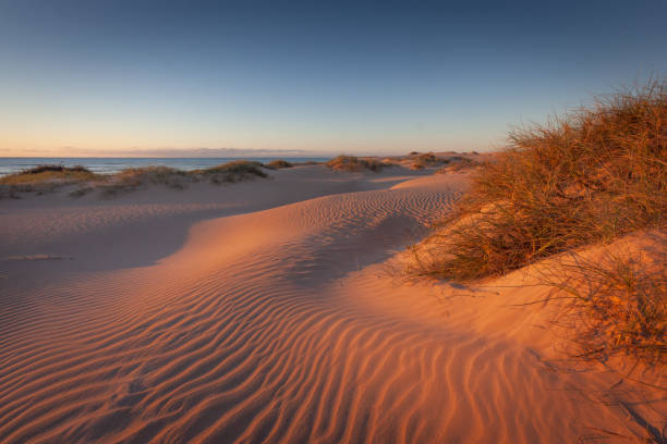 닝갈루 리프, 웨스턴오스트레일리아 여행 - australia outback landscape desert 뉴스 사��진 이미지