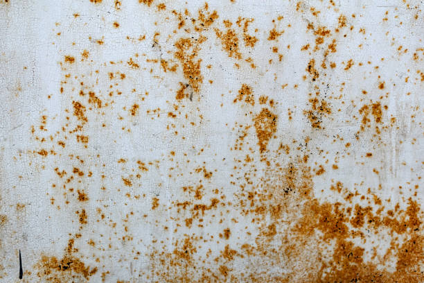 istock Metal surface with white paint that has passed temporary damage, a lot of formed, red rust. 1220125615