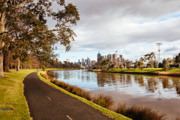 istock Yarra River in the Early Morning 1220128238