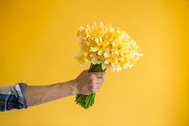 シャツと花束の黄色い背景にヒップスターの男。 - daffodil flower yellow vase ストックフォトと画像