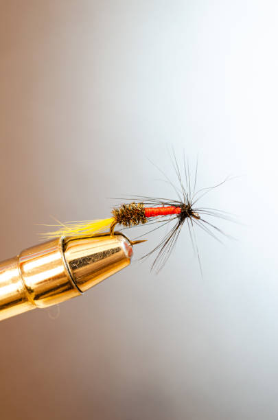 istock side view of a single Royal Coachman trout fly in a tying vise with side lighting 1220132322