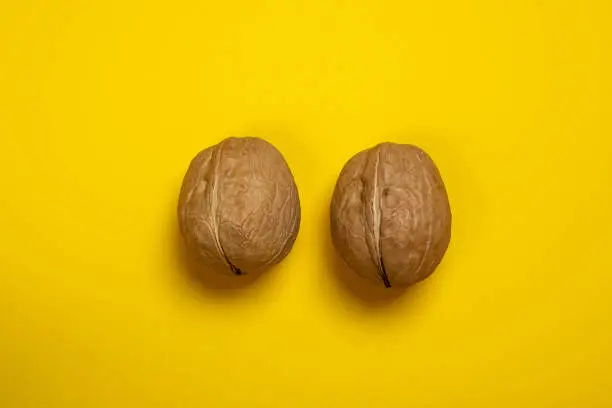 two nuts, testicular cancer prevention concept