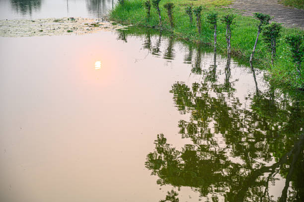 istock Exotic nature. Beautiful of lake view. 1220133306