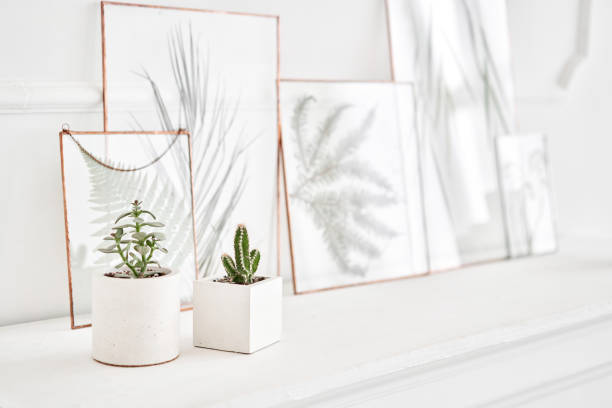 istock Succulent in concrete vase. Morning in light interior in mansion . Bright and clean interior design of a luxury living room with fireplace 1220141676