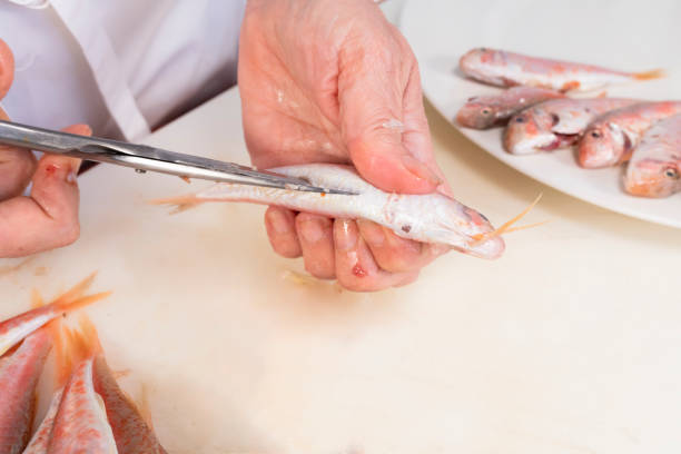 view of a woman's hands cleaning a red mullet with kitchen scissors.fresh fish eating concept
