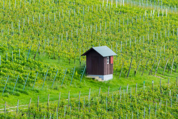 Rural Landscapes Germany
