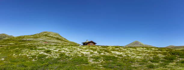 domek z bali w parku narodowym rondane, norwegia - shack hut old obsolete zdjęcia i obrazy z banku zdjęć
