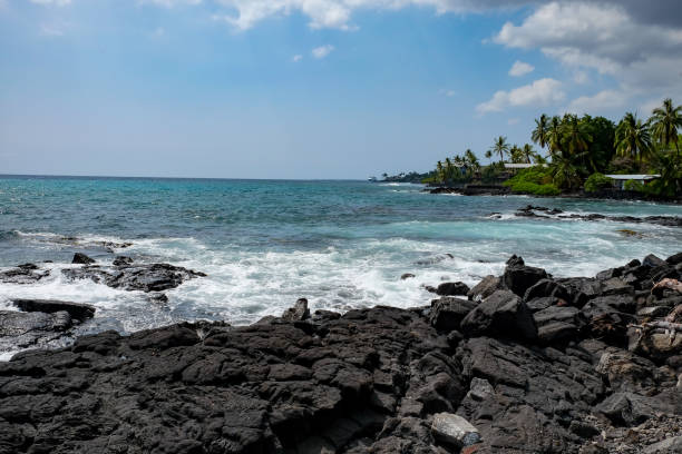 istock rocky coast with the sea 1220145133