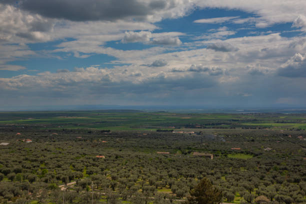 istock Tavoliere plains in Apulia, view from Gargano hillside, Italy 1220145473