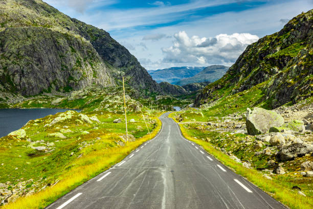 istock Country road through Scandinavian mountain landscape in summer 1220145892