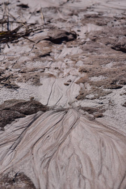 より粗い領域に落とし、侵食された砂のベージュと茶色の色合い - disappearing nature vertical florida ストックフォトと画像