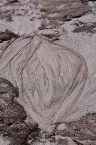 浸食された砂の楕円形の領域のベージュと茶色の色合い - disappearing nature vertical florida ストックフォトと画像
