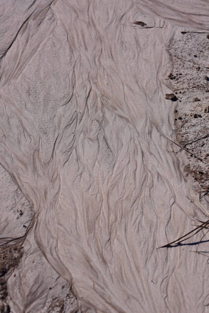 istock Intertwined meandering rivulets in sand 1220147307