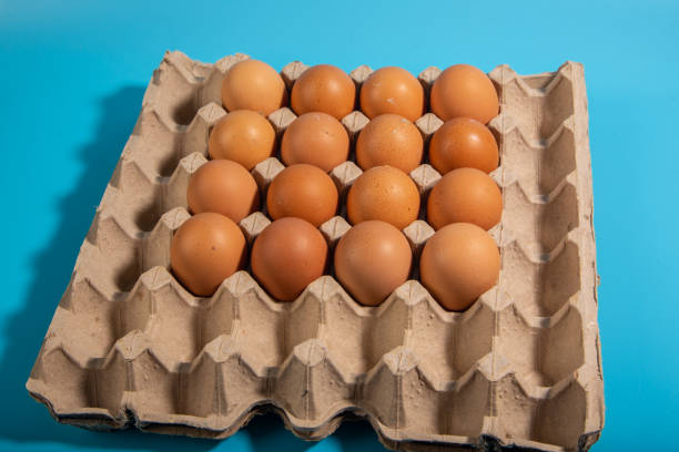 istock Organic fresh Chicken egg in carton box with blue background 1220147820