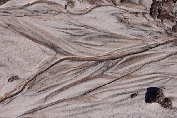 istock Beige and brown hues in eroded sand with forked rivulets 1220147825