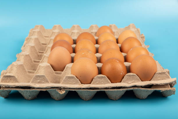 istock Organic fresh Chicken egg in carton box with blue background 1220147874
