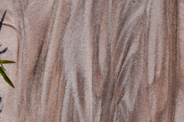 Beige and brown hues in eroded sand with leaves at left edge