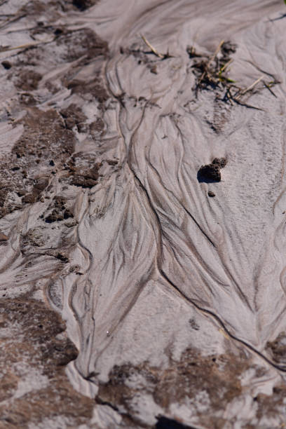 浸食された砂のリブレットでベージュと茶色の色合い - disappearing nature vertical florida ストックフォトと画像