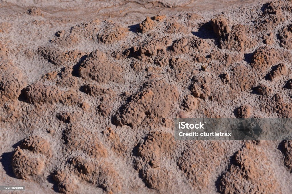 Eroded sand exposes harder soil clumps Separate sand types in layers, exposed by flowing rainwater. Photo taken at John M. Bethea state forest in Northeast Florida. Nikon D750 with Nikon 105mm macro lens Above Stock Photo