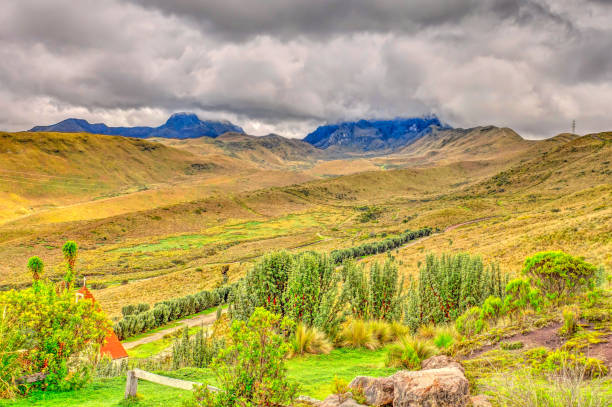 istock Quito cityscape from the Pichincha Volcano 1220153077