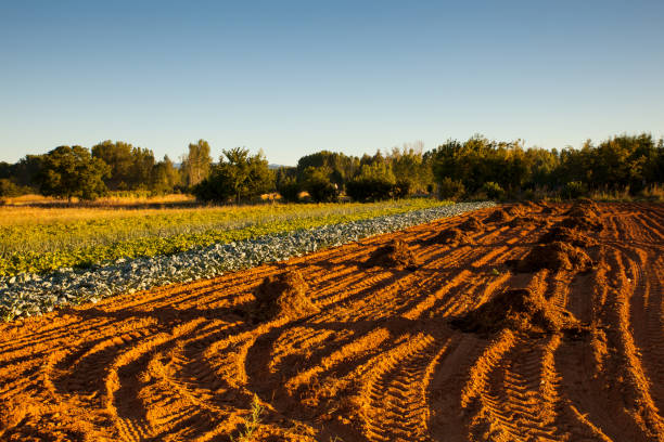 view of a cultivated field - 7585 imagens e fotografias de stock