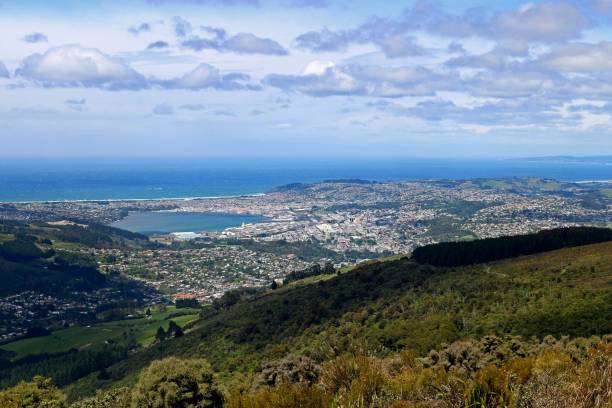 istock View of Dunedin from Mount Cargill 1220156931