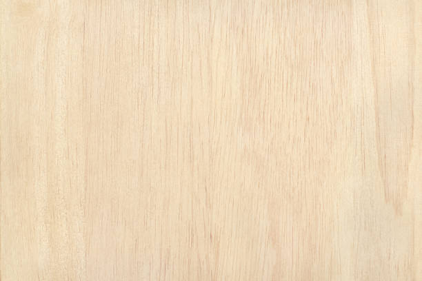 superficie de madera contrachapada en patrón natural con alta resolución. fondo de textura granulado de madera. - plywood wood grain panel birch fotografías e imágenes de stock