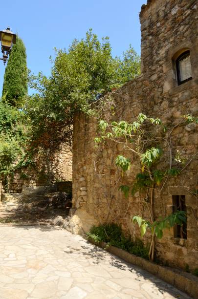 istock Landscaped stone alley 1220158731