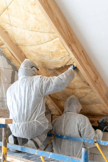 istock Two professional builder man installing thermal insulation rock wool under the roof 1220158938