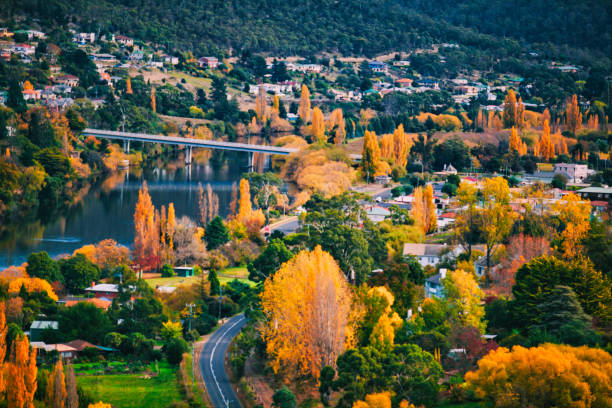 tazmanya, avustralya sonbaharda yüksek açılı görünüm nehir, ağaç ve köprü - tazmanya stok fotoğraflar ve resimler