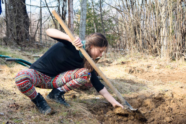 istock Young woman working the land on an idyllic farm 1220162192
