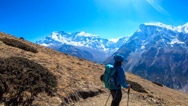 lago de hielo - un hombre haciendo senderismo en el himalaya con la vista de la cadena annapurna - glacier himalayas frozen lake fotografías e imágenes de stock