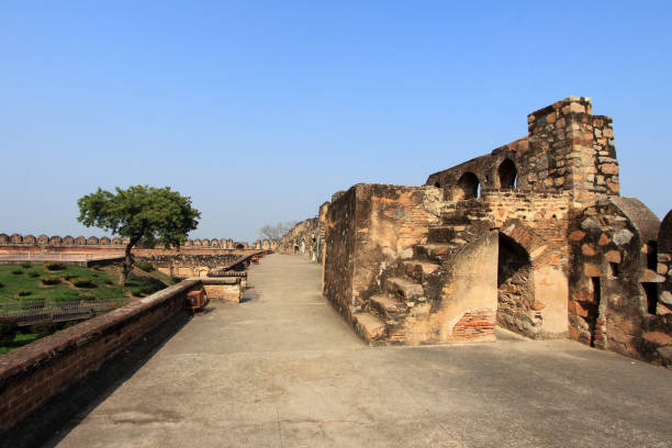 форт джанси в штате уттар-прадеш, индия. - carving monument fort pradesh стоковые фото и изображения
