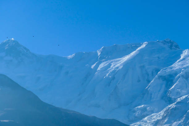 lago de hielo - un primer plano en una montaña con tapa de nieve - glacier himalayas frozen lake fotografías e imágenes de stock