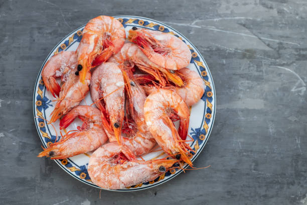 istock frozen shrimps on plate on ceramic background 1220167142