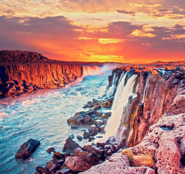 istock Charming magical view with famous waterfall Selfoss in Iceland on sunrise. Exotic countries. Amazing places. (Meditation, antistress - concept). 1220169167