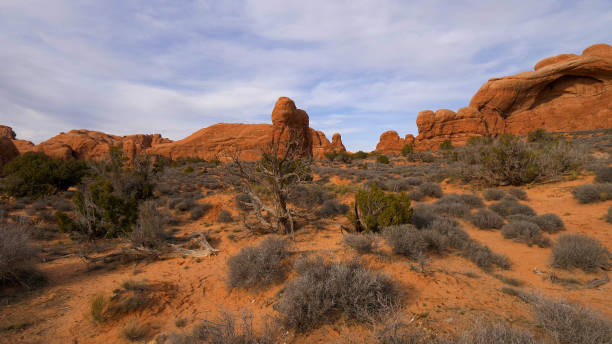 istock Amazing Scenery at Arches National Park in Utah 1220169990