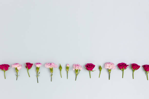 istock Layout of carnation flowers and roses on a blue pastel background. 1220171501