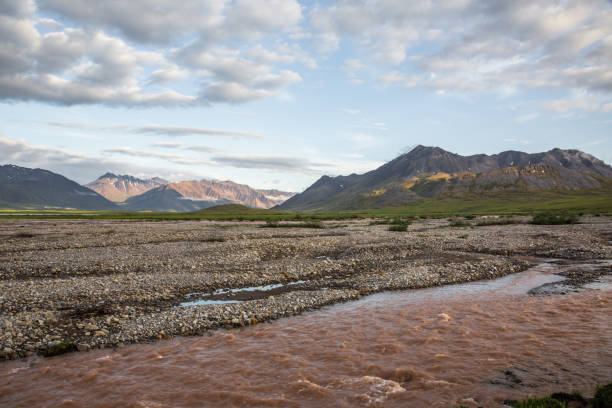 istock A pink rain swollen river runs down the Antigun Valley in Alaska's arctic. 1220173640
