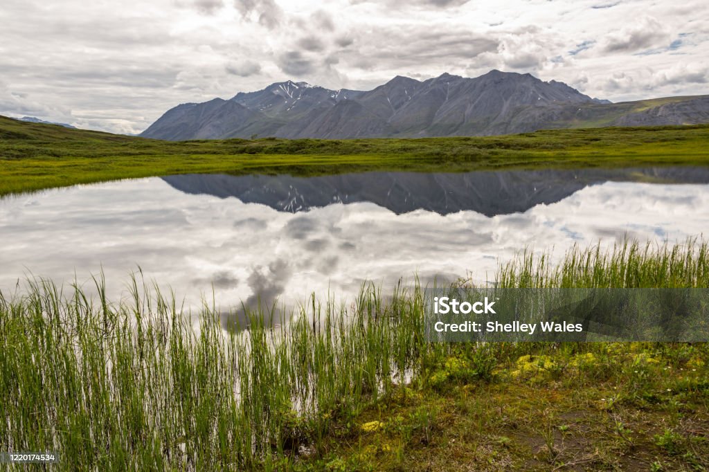 The Brooks Range and cloudy sky's reflected in a thermokarst in Alaska's Arctic National Wildlife Refuge. A thermokarst sits in the muskeg reflecting the Brooks range in its still waters on as moody summer day. Arctic National Wildlife Refuge just off the Dalton Highway, Alaska. Arctic Stock Photo