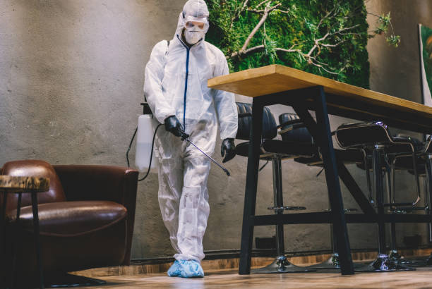 Disinfection of bars,cafes and restaurants during COVID-19 pandemic Man in protective suit spraying with disinfectant bar, cafe and restaurant interiors to prevent further spread of the coronavirus pest control restaurant stock pictures, royalty-free photos & images