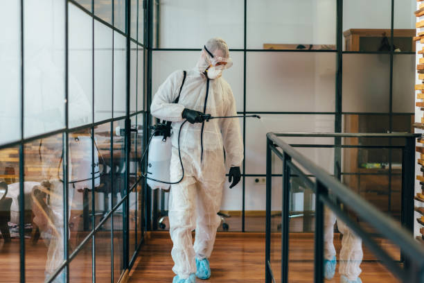 Office disinfection during COVID-19 pandemic Man in protective suit and face mask spraying for disinfection in the office antiseptic stock pictures, royalty-free photos & images
