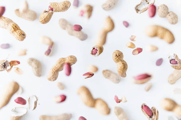 Shelled and in shell peanuts flying above white background, levitation effect stock photo