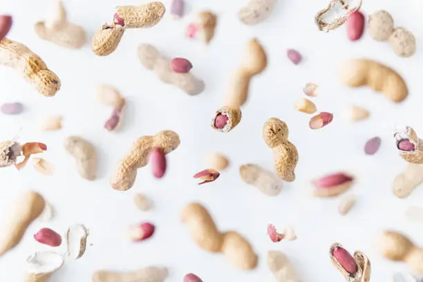 Shelled and in shell peanuts flying above white background, levitation effect.